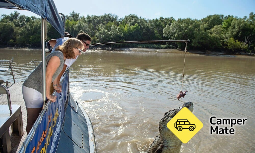 Espetacular cruzeiro de crocodilo
