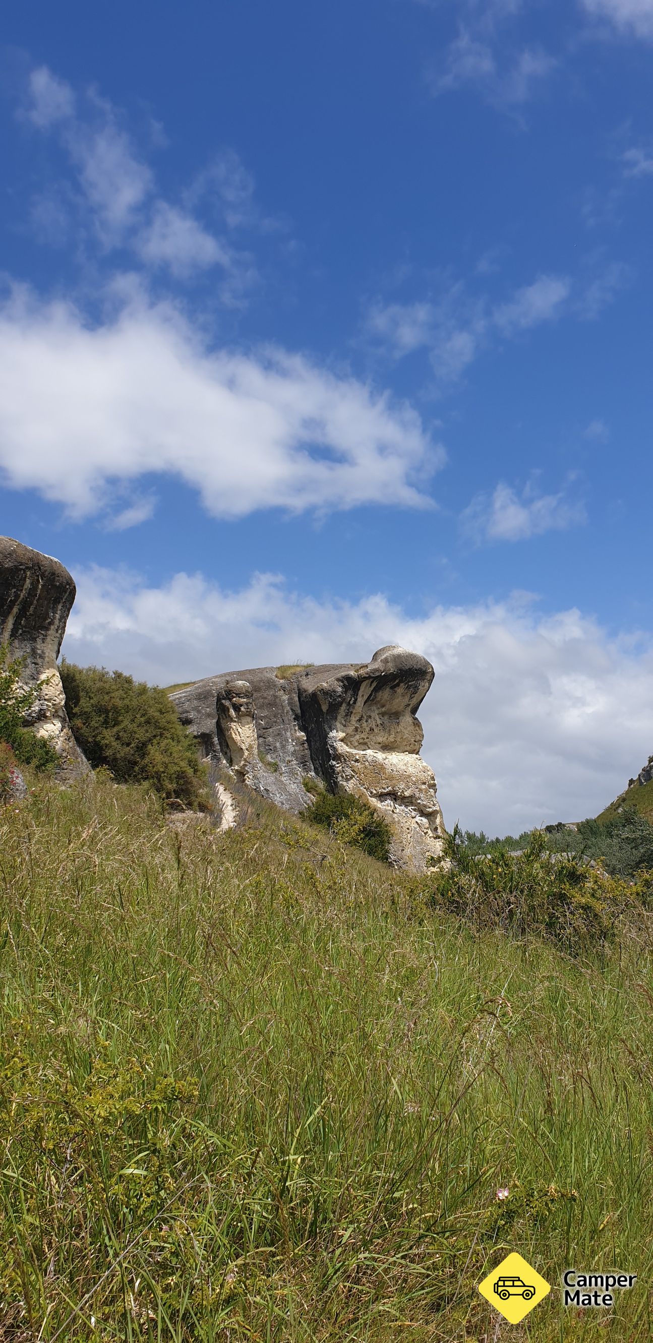 Szőlő Rock - Image 3