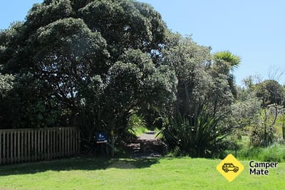 Shakespear Park Waterfall Gully Walk