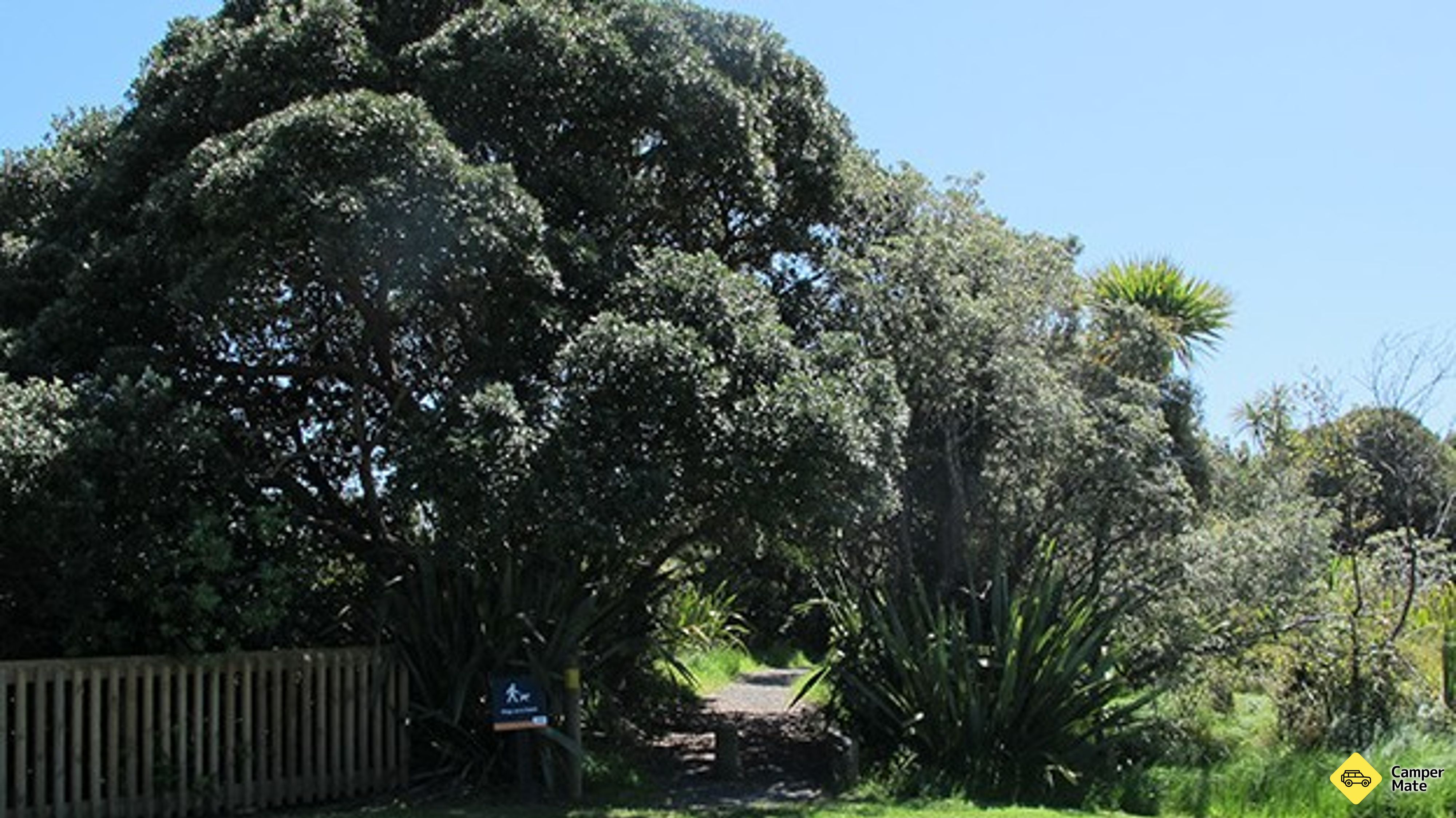 Shakespeare Park Waterfall Gully Walk 근처 오락거리