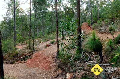 Tamrookum Creek Mountain Bike Park