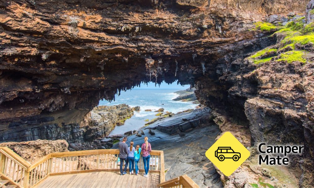 Kangaroo Island Iconic Sights and Wildlife Tour