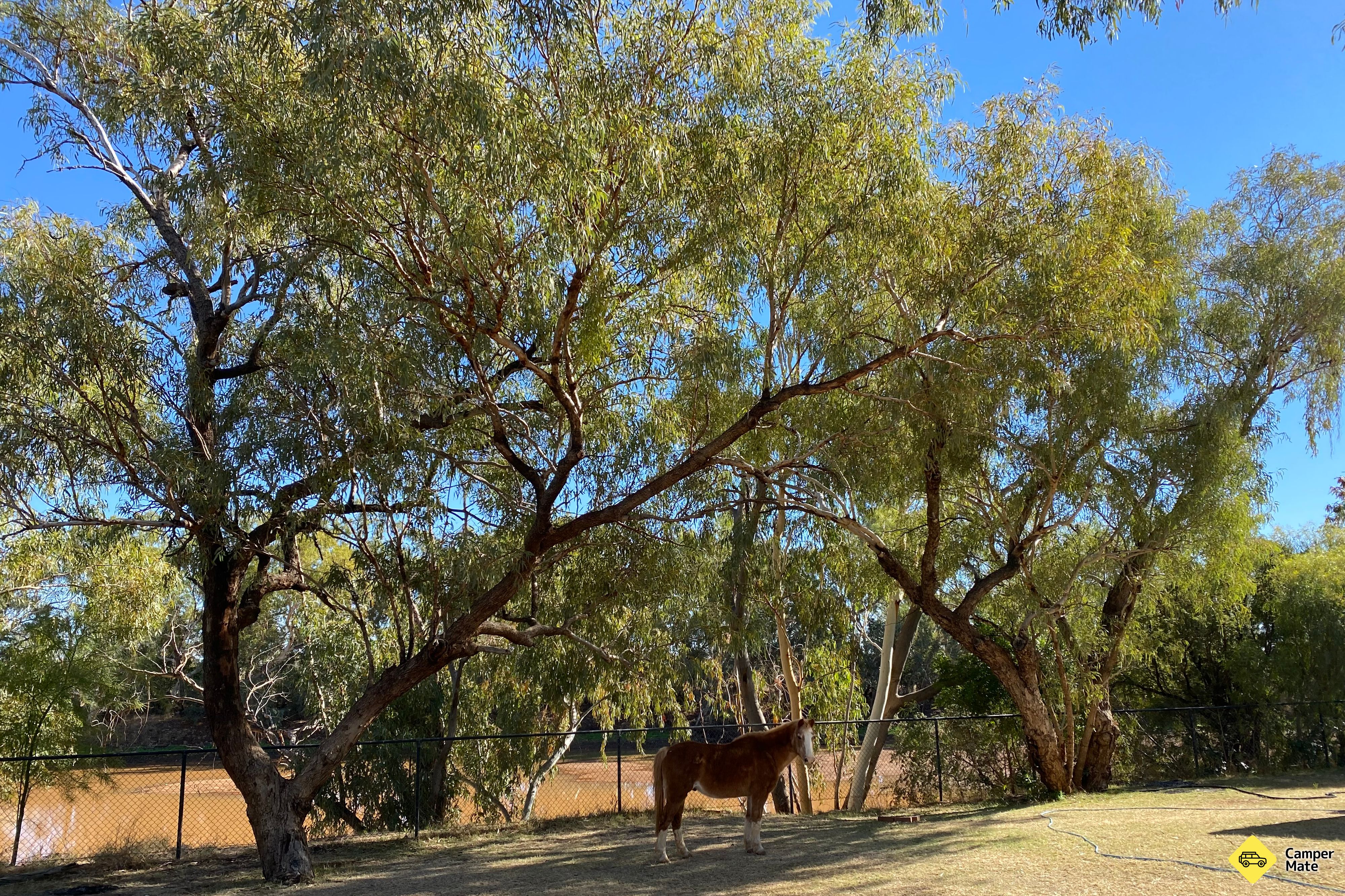 Boulia Caravan पार्क - Image 3