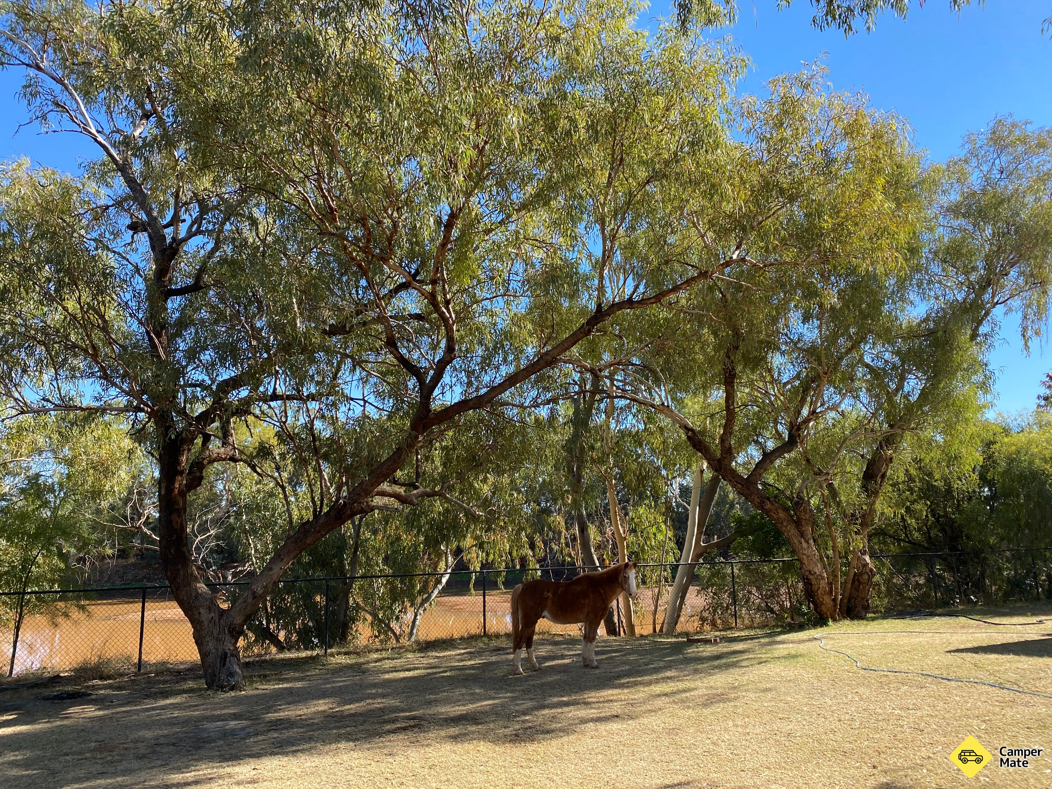 Boulia Caravan पार्क - Image 3