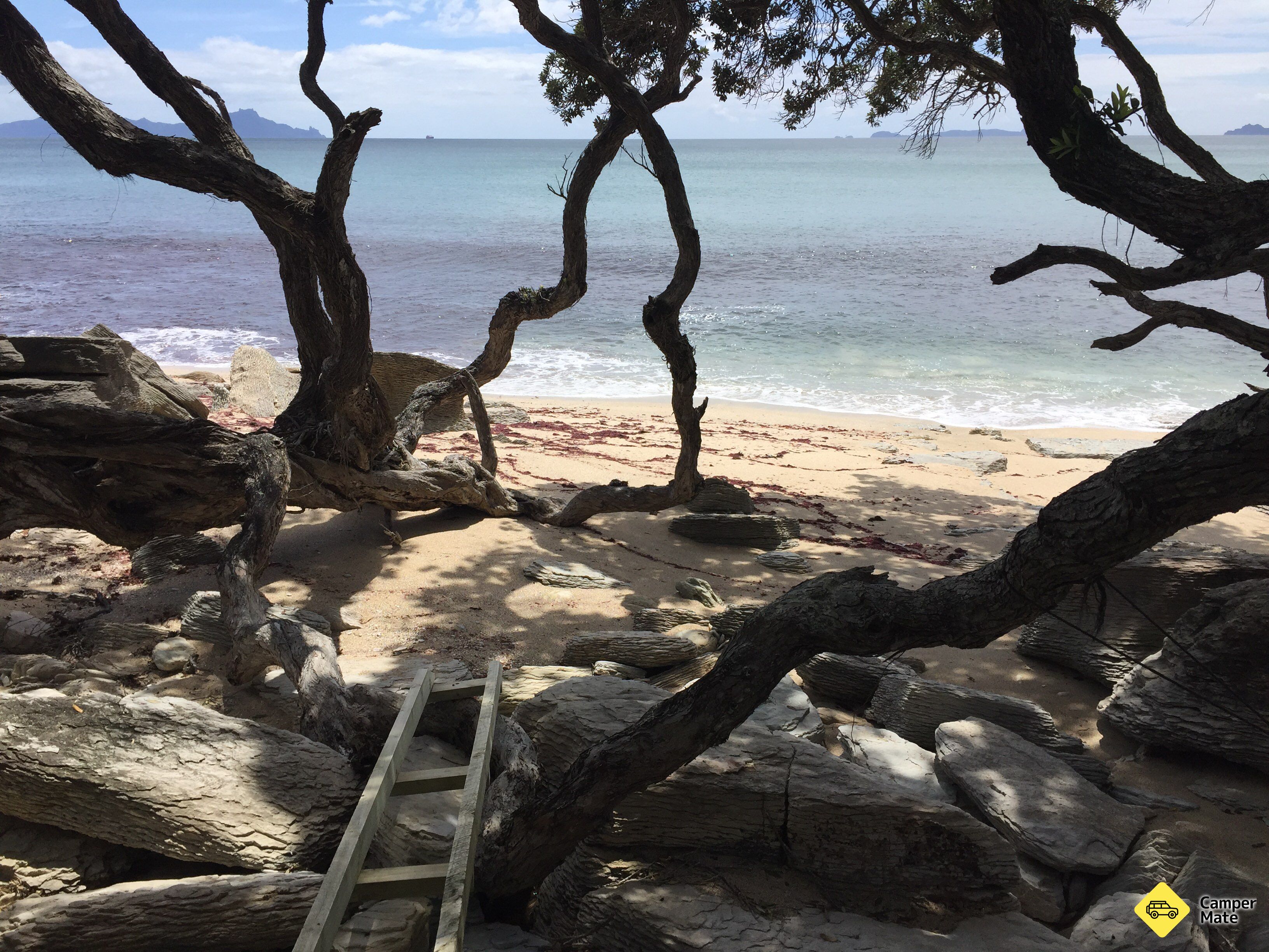 Waipu Coastal Walkway - Image 3