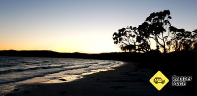 Jetty Beach Camp Area
