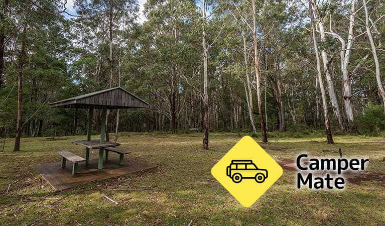 Nunnock campingplads - Image 2