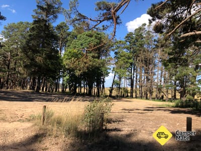 Bungleboori Camping Area