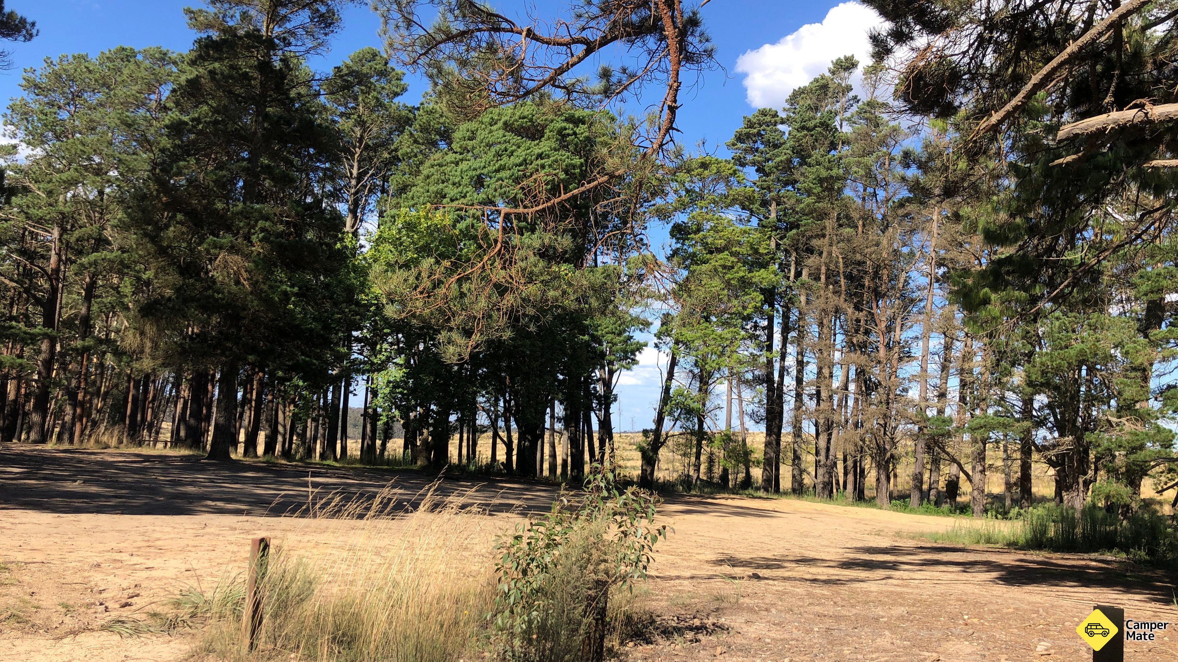 Bungleboori Camping Area
