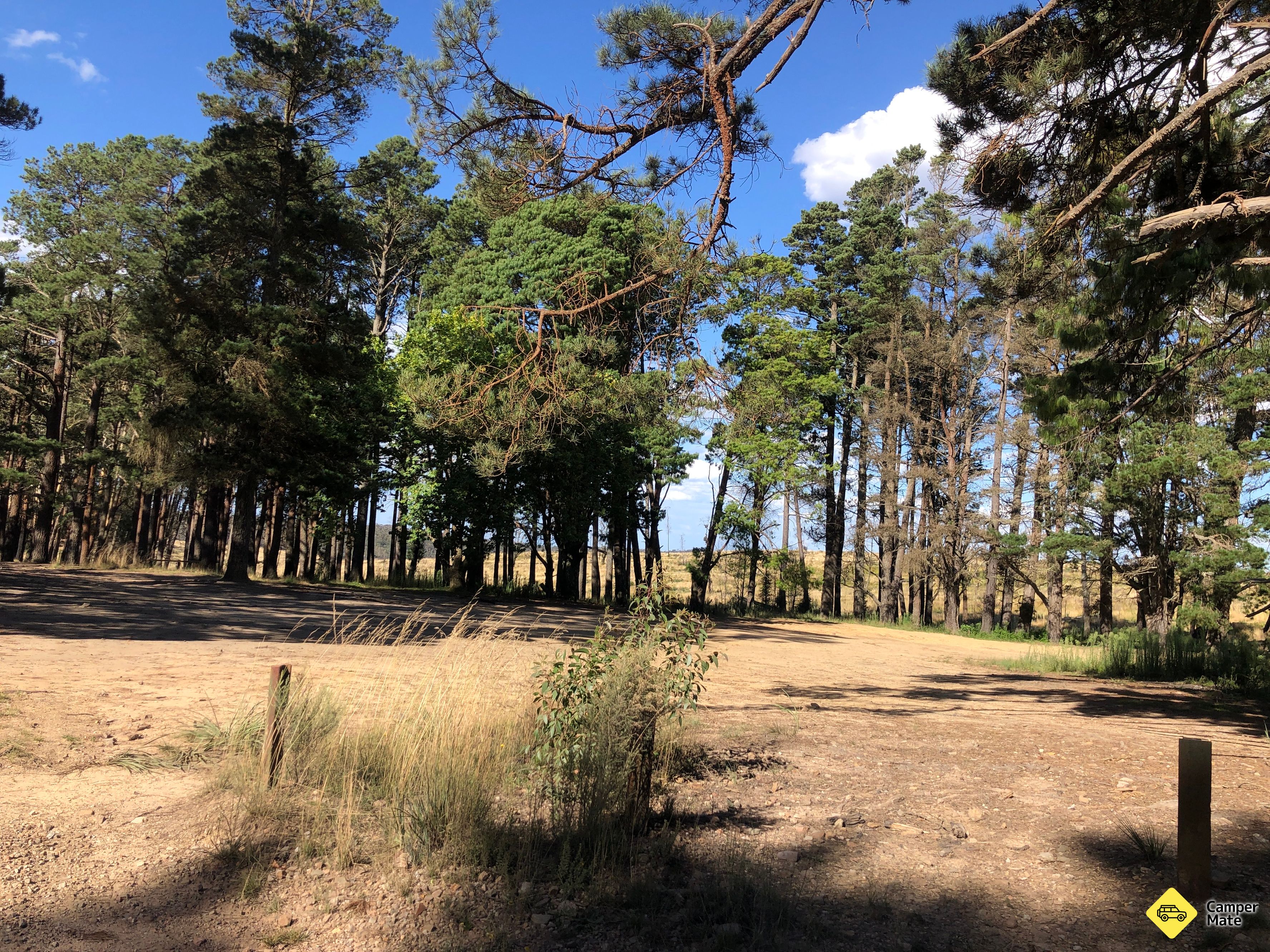 Bungleboori Camping Area