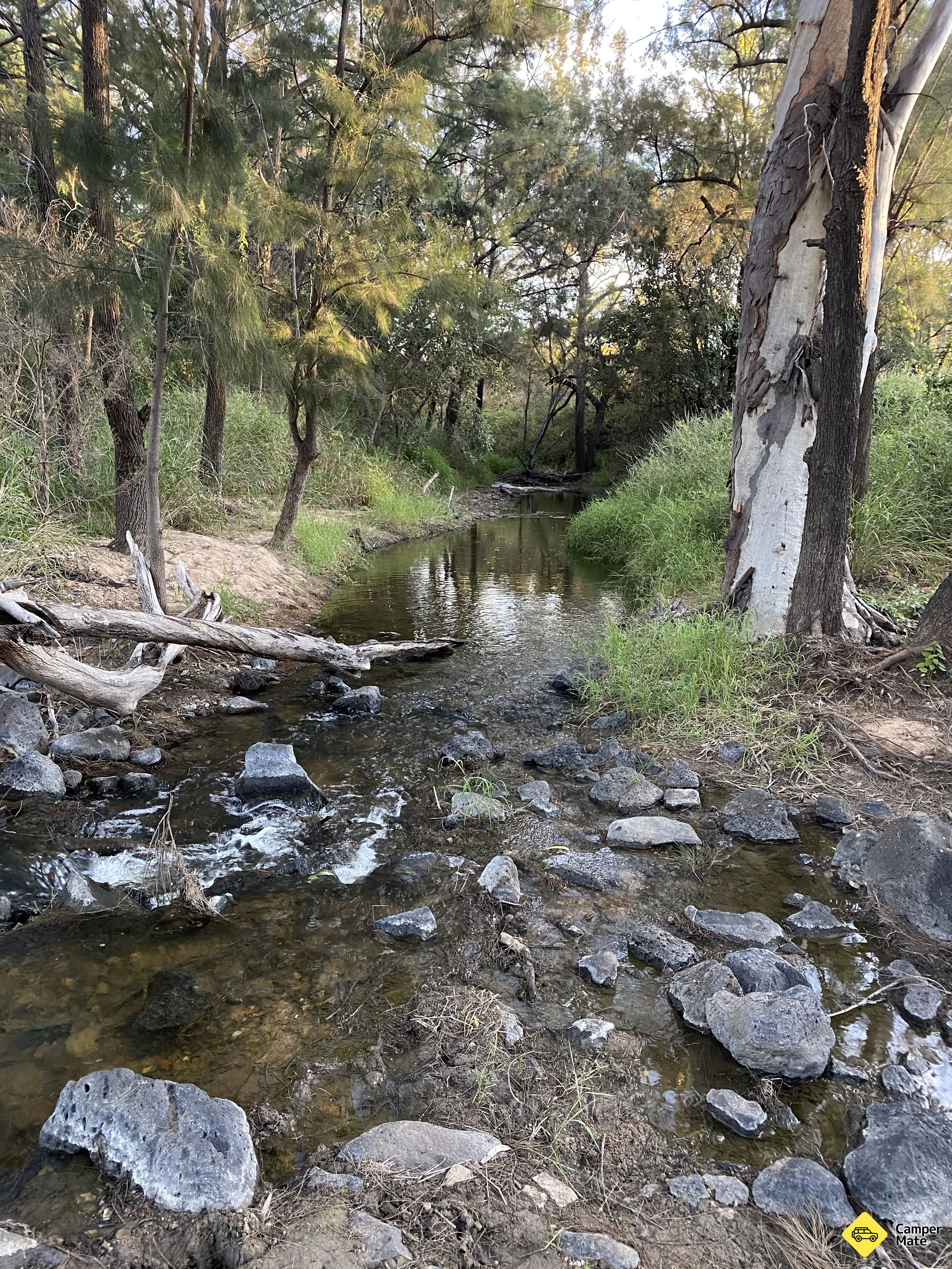 8 Mile Creek Camping - Image 2
