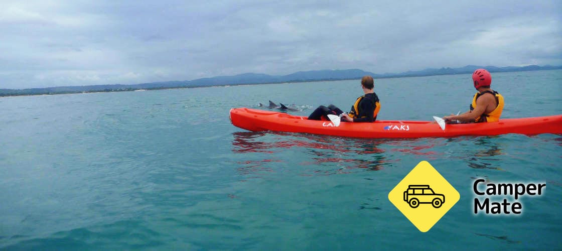 Hal yang dapat dilakukan di dekat Byron Bay Dolphin Kayaking Tour - Image 3
