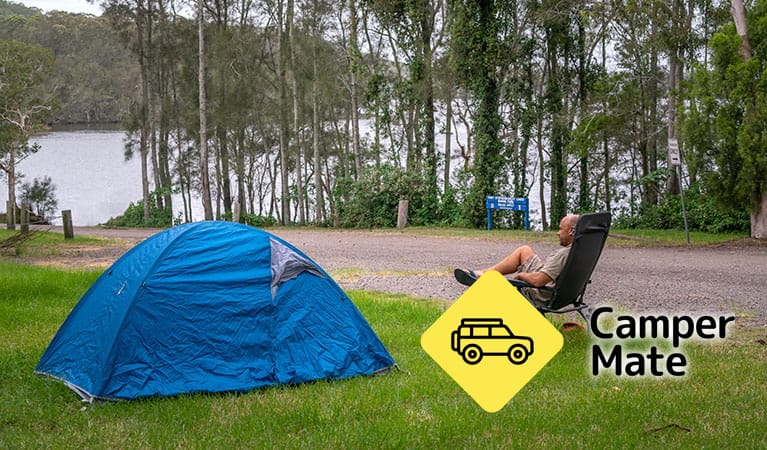 Violet Hill Kamp Alanları