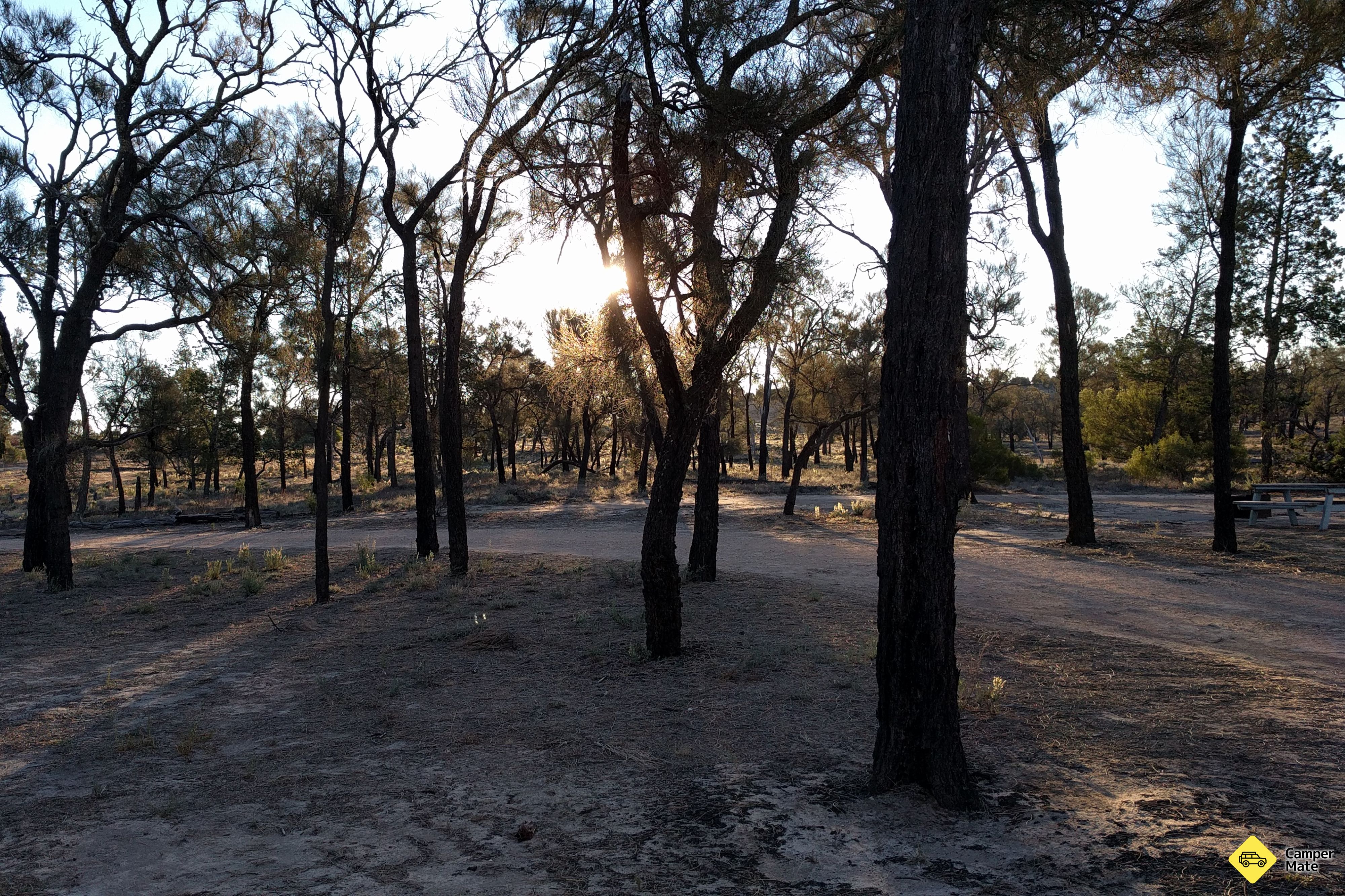 Casuarina Campground, Wyperfeld National Park - Image 3
