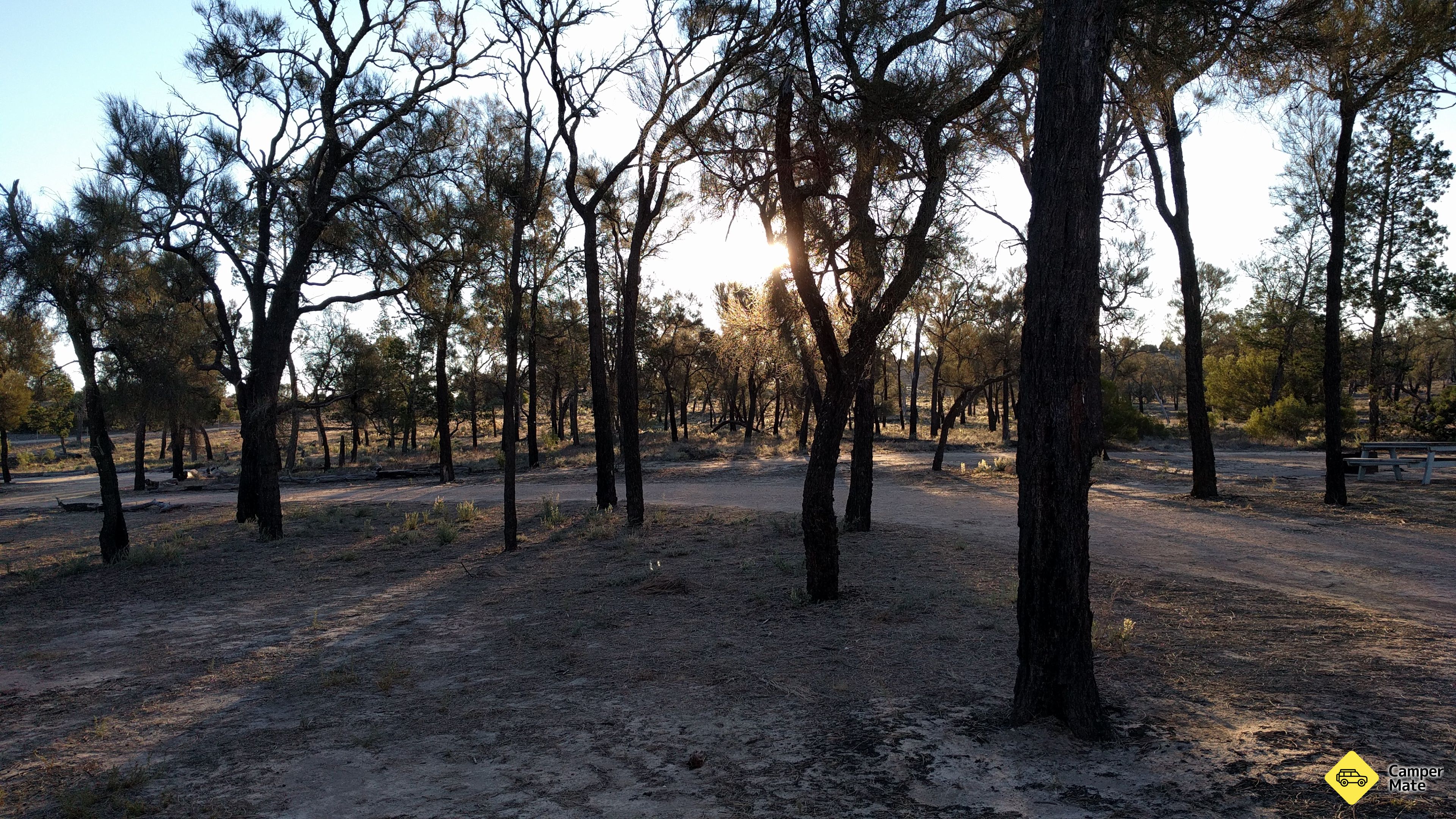 Casuarina Campground, Wyperfeld National Park - Image 3