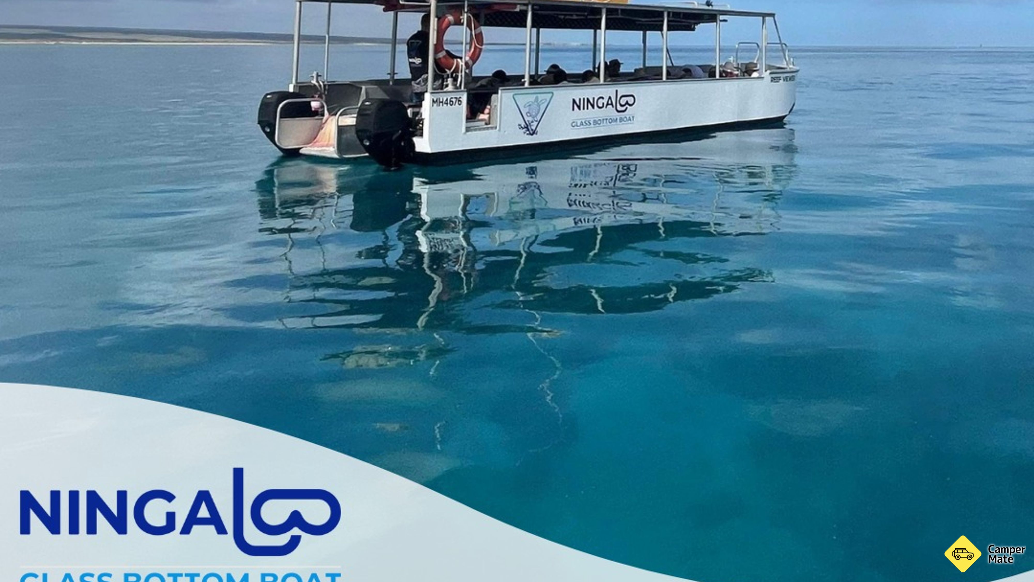Ningaloo Reef Glass Bottom Boat Turtle Eco Tour