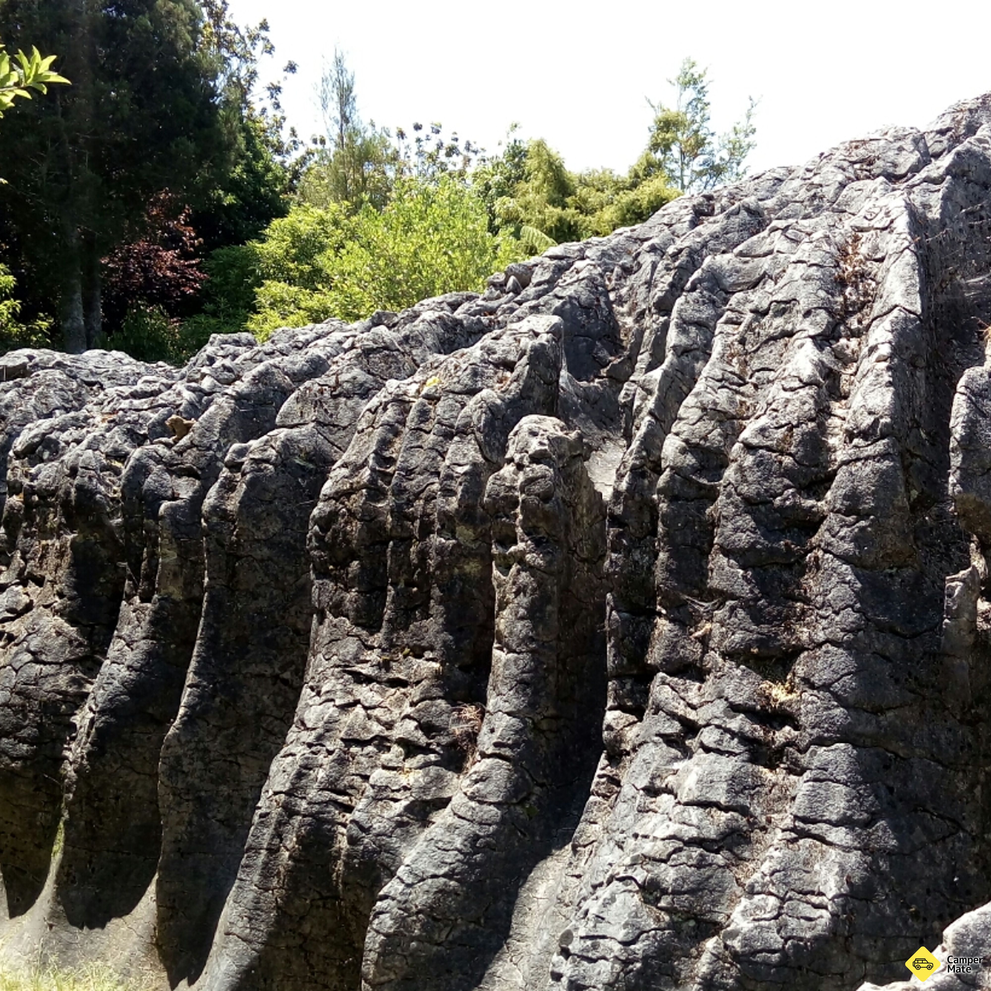 Labyrinth Rocks Park Nz Labyrinth Rocks Park Walkway, Nelson Tasman, Tasman, New Zealand ...