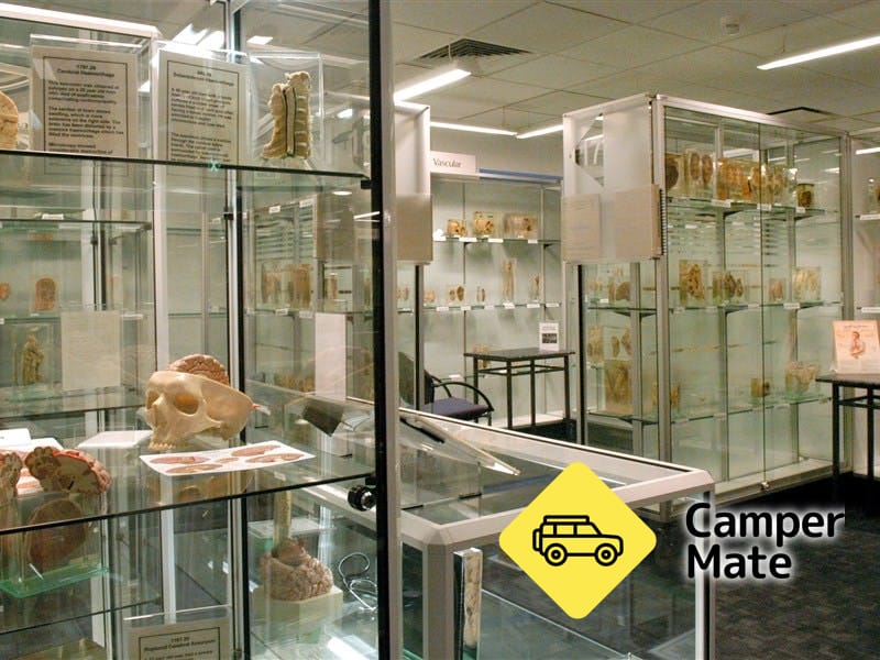 Museum of Human Disease