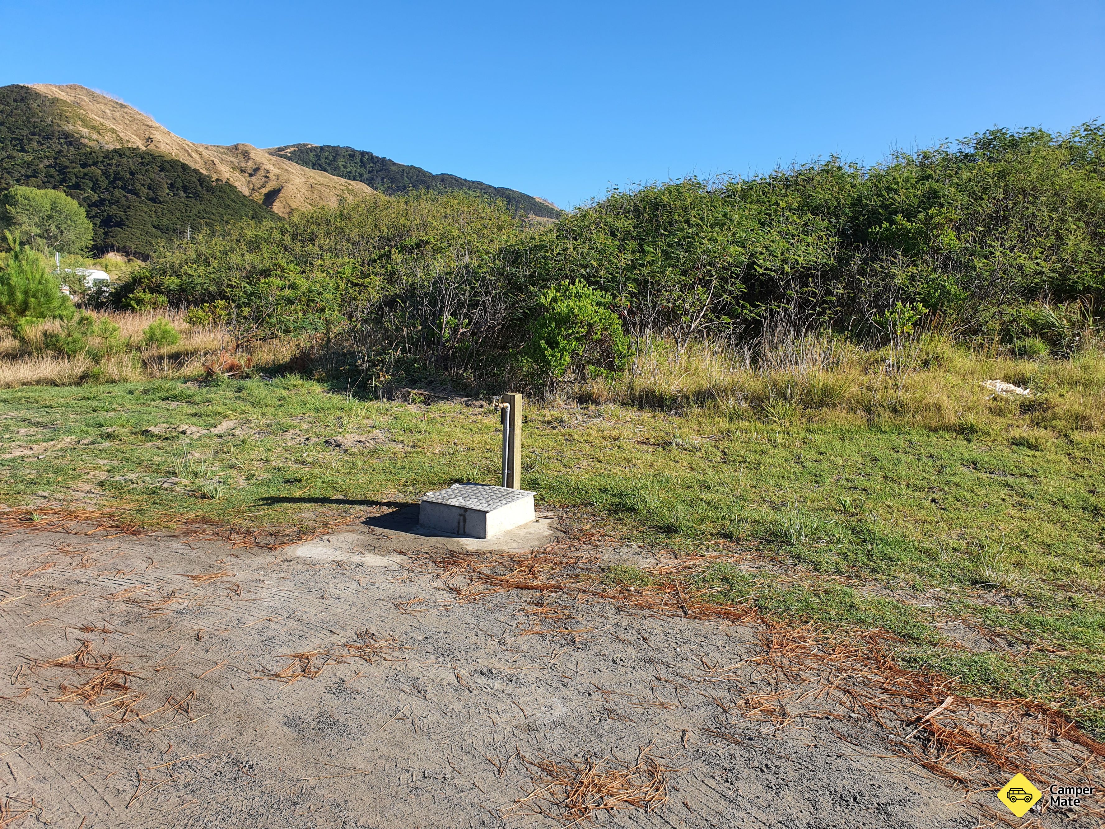 Opoutama Beach Reserve - Image 2