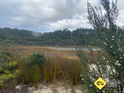 Pine Beach Camping Ground