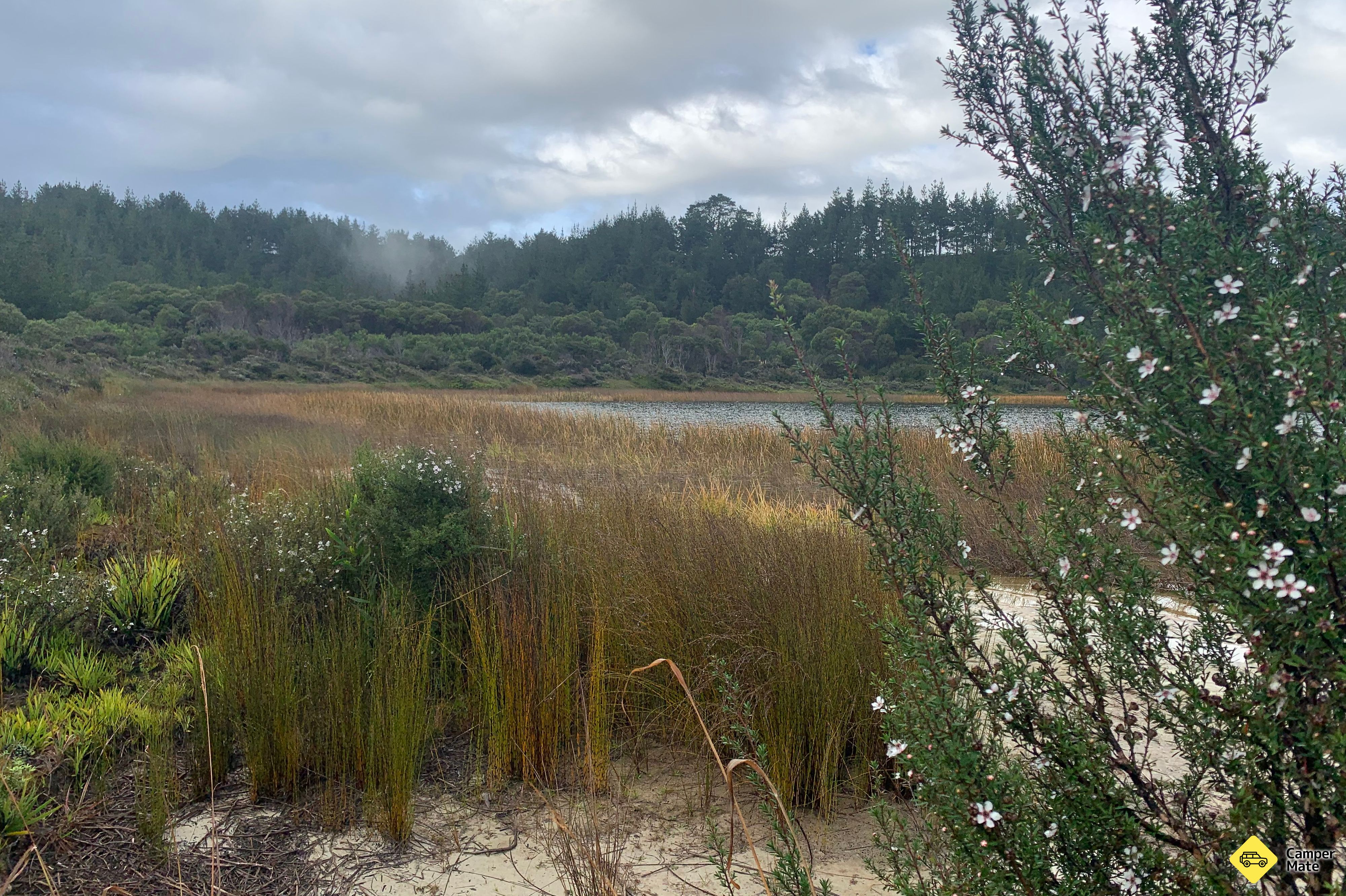 Pine Beach Camping Ground