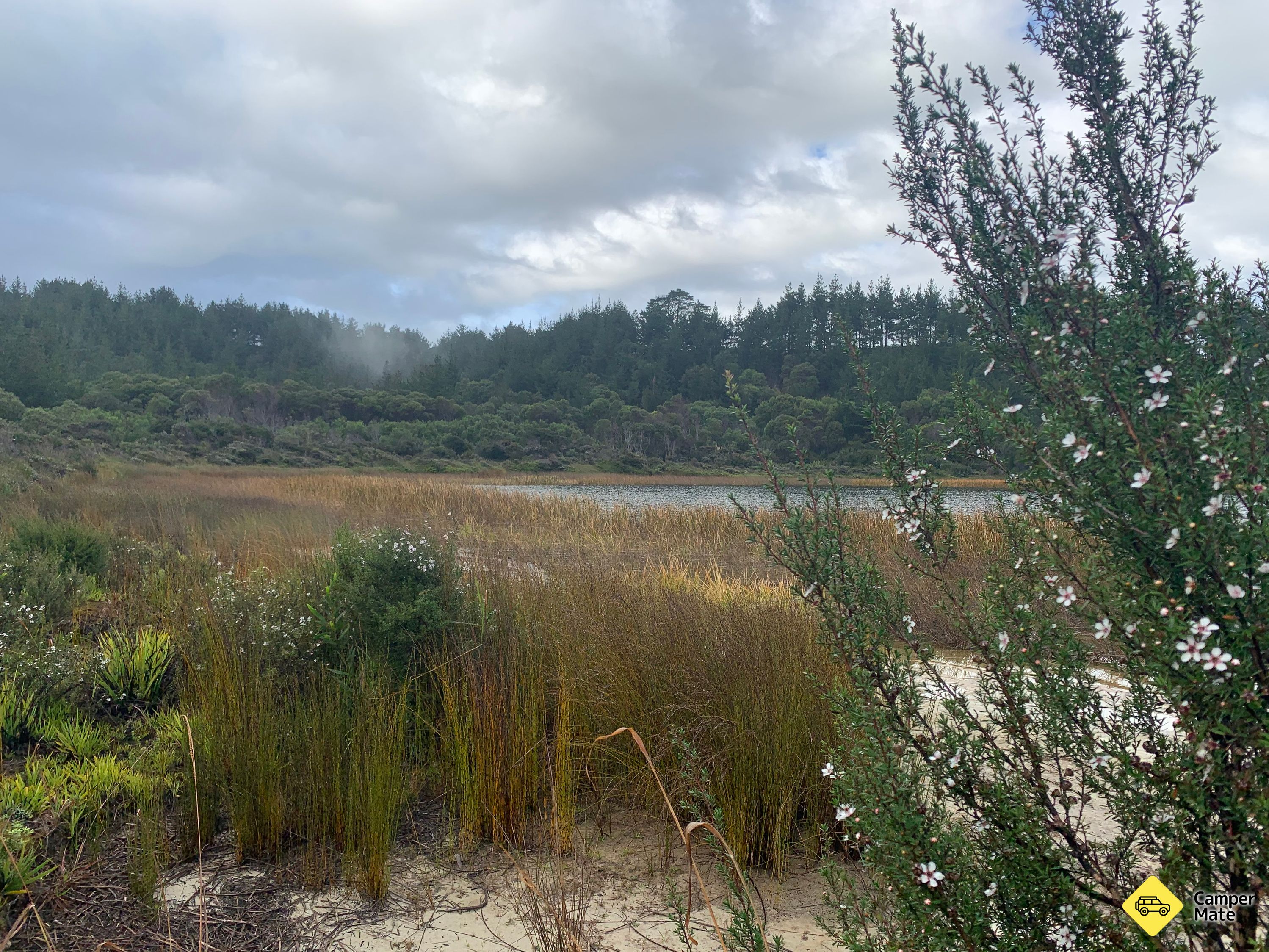 Pine Beach Camping Ground