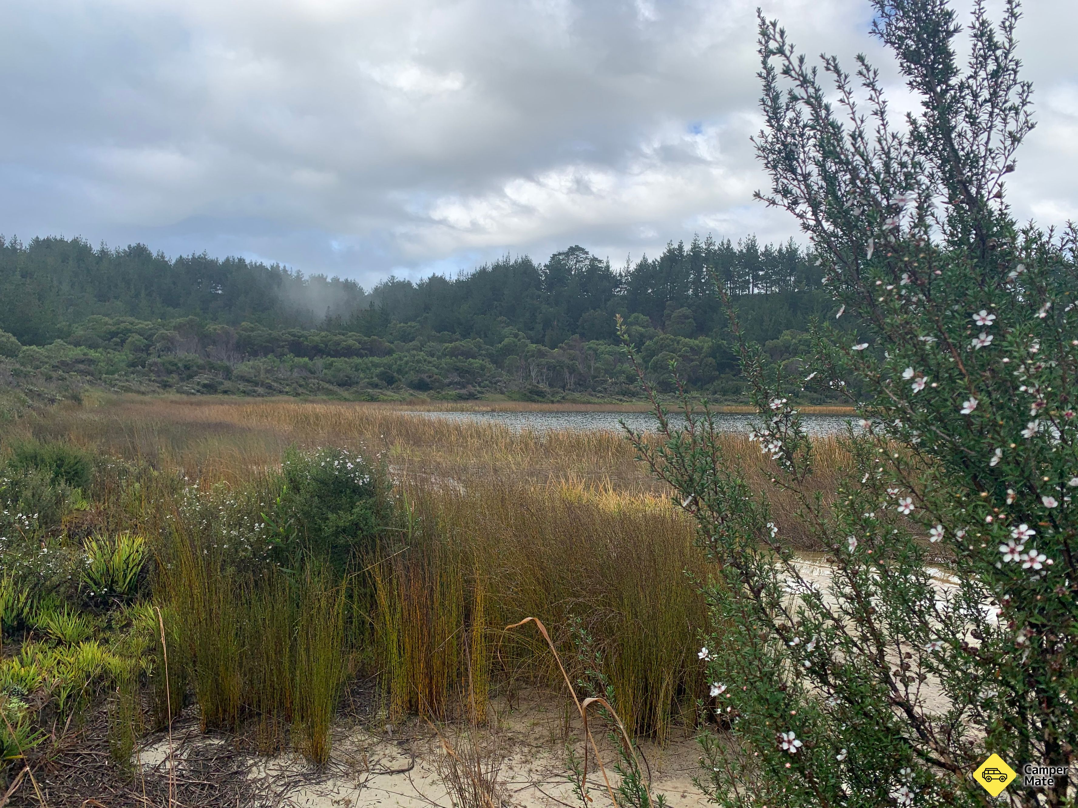 Pine Beach Camping Ground