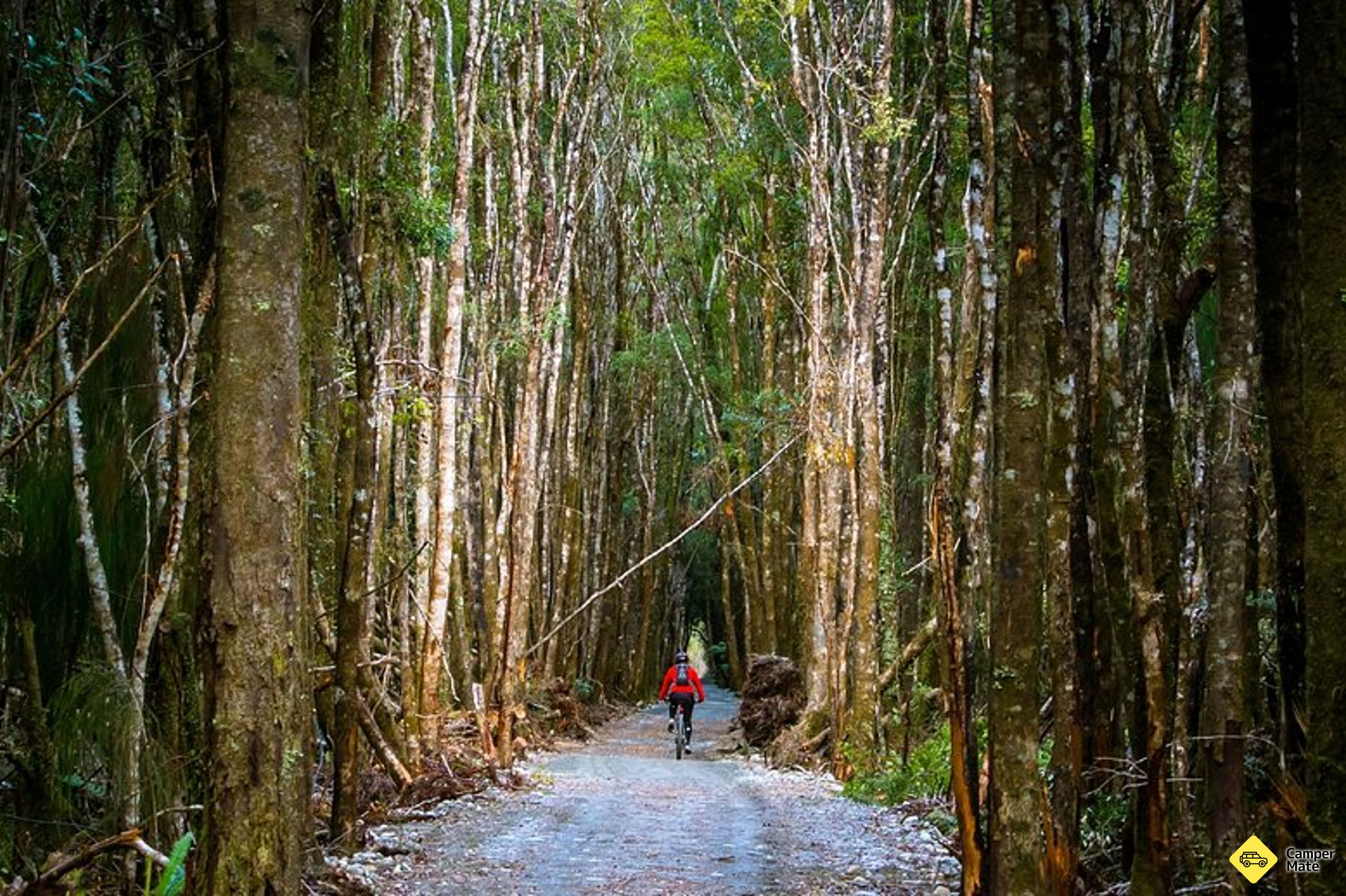West Coast Wilderness Trail bezoeken - Image 3