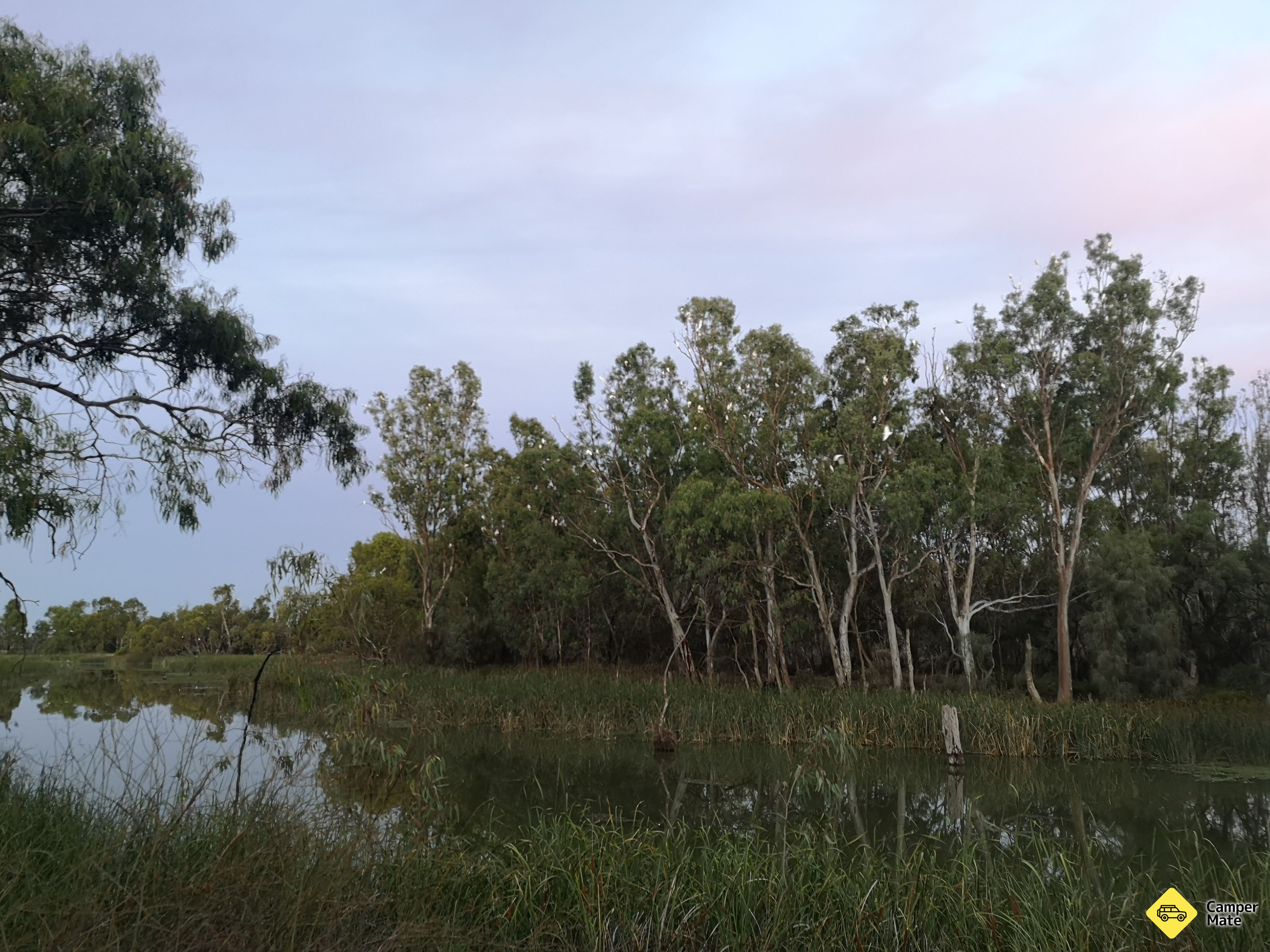 Kings Billabong Reserve - Image 2