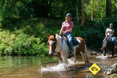Glenworth Valley Wilderness Adventures