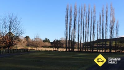 Nightcaps/McGregor Park Free Camp