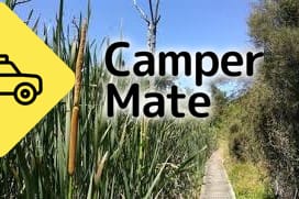 Carter Scenic Reserve - Image 2