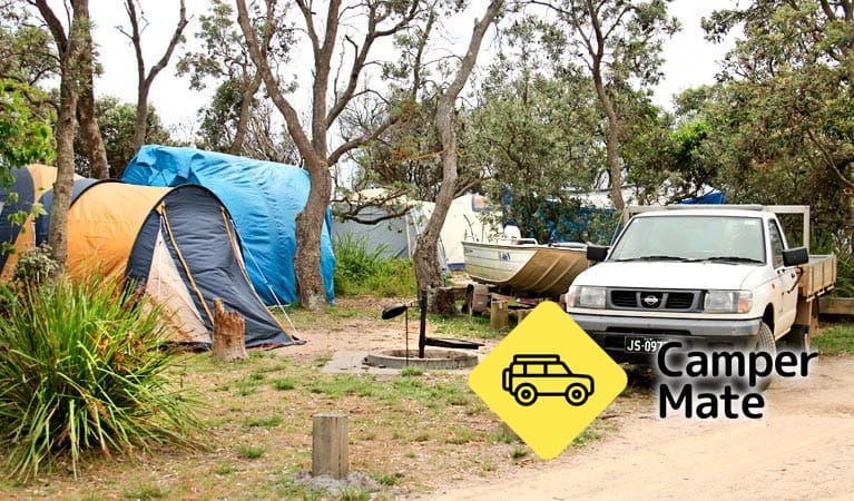 Activiteiten in de omgeving van Picnic Point Campground - Image 3