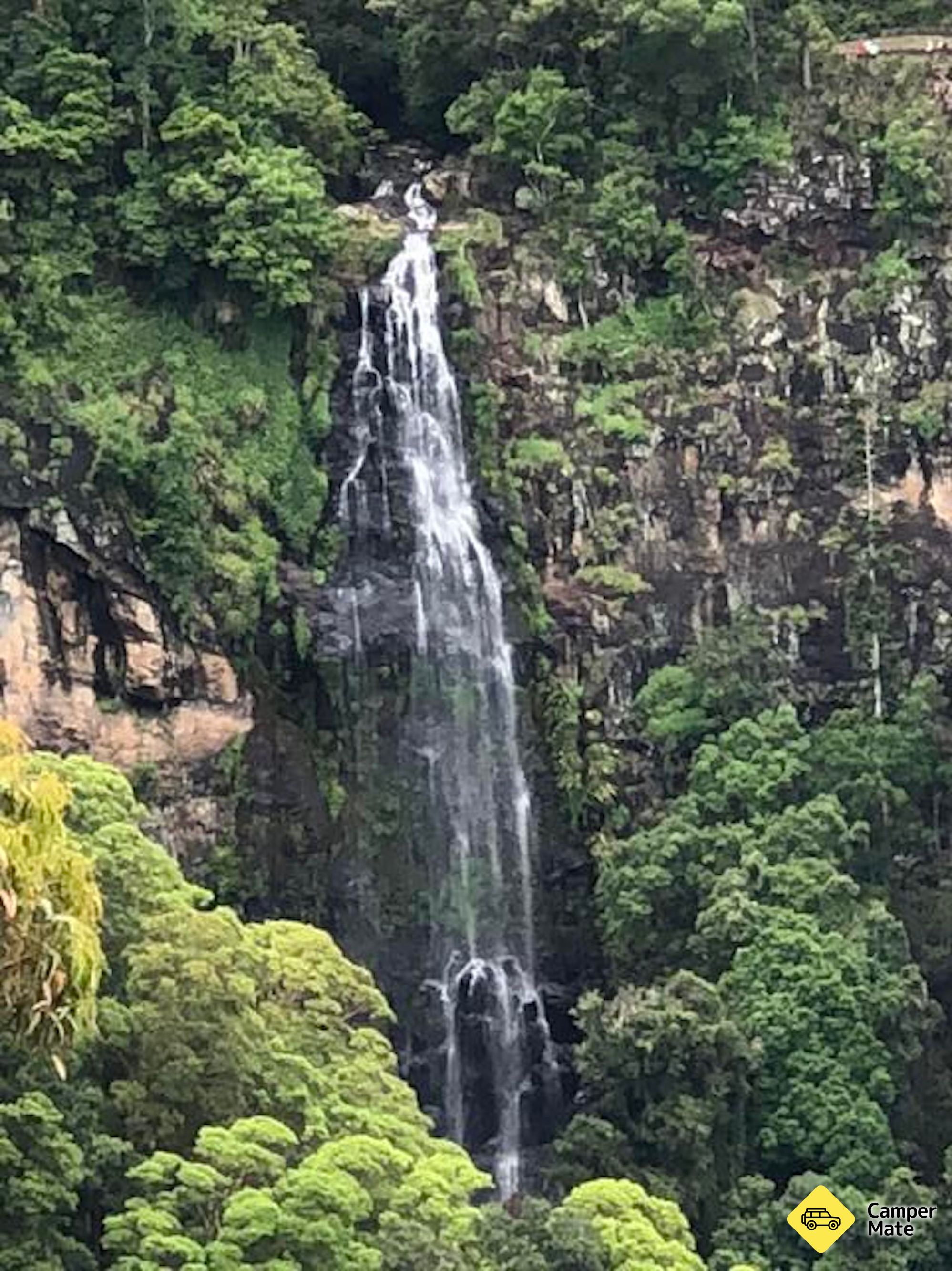 Lamington National Park Camping Ground - Image 3