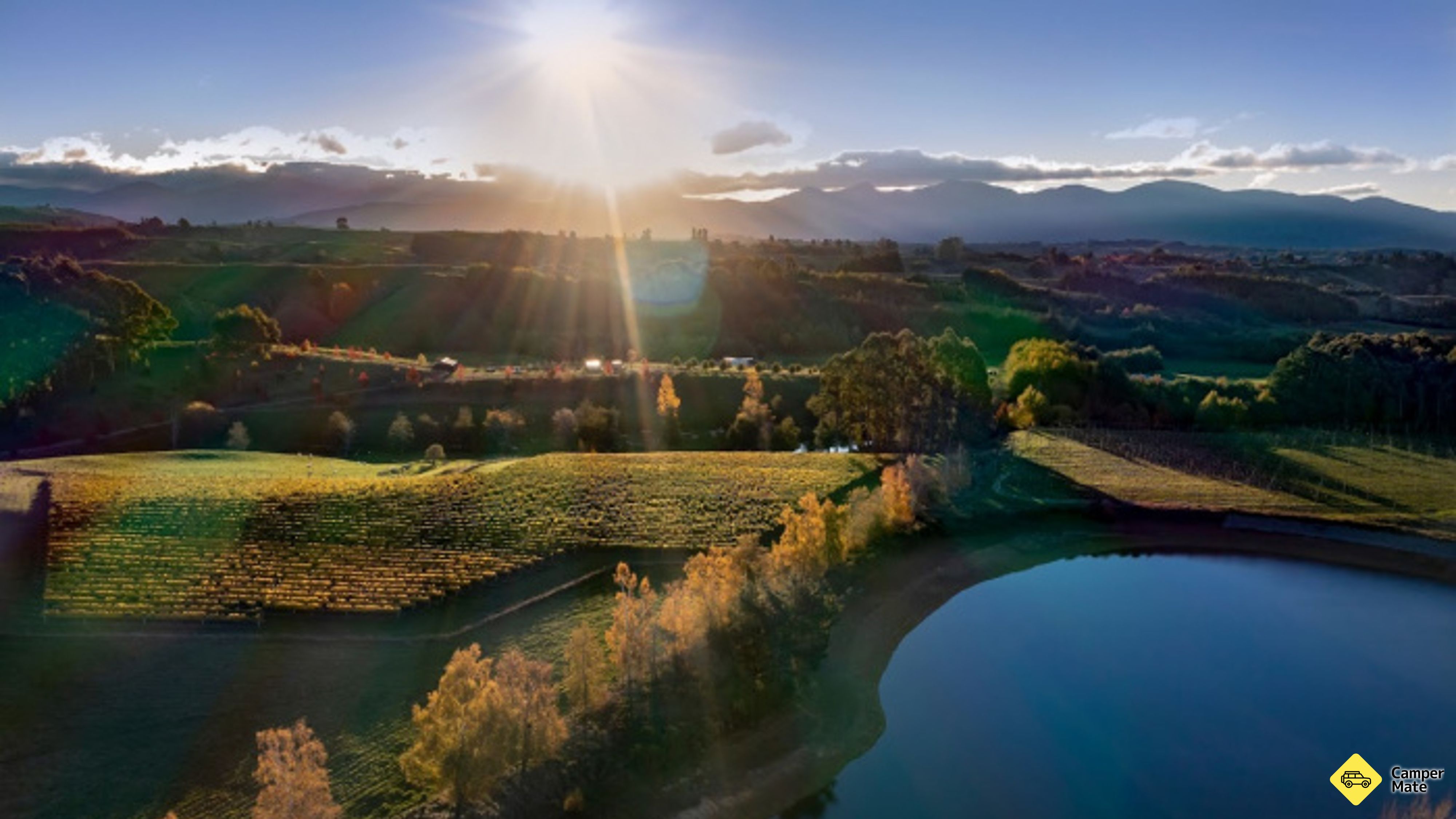 Viñedos Moutere Hills