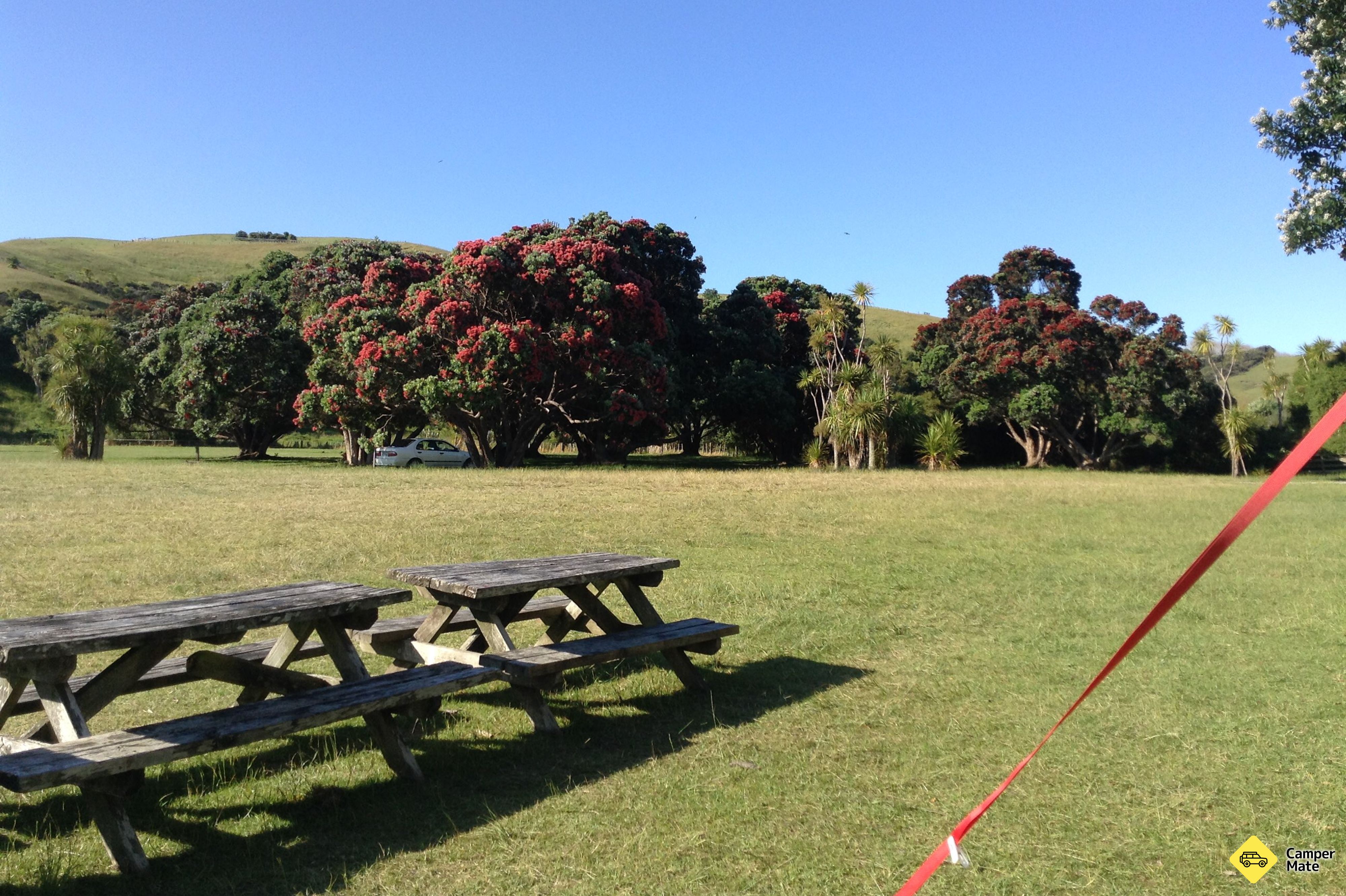 Te Haruhi Bay Campground - Image 3