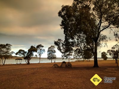Lake Liddell Recreation Area