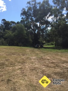 Black Snake Creek Camping Area