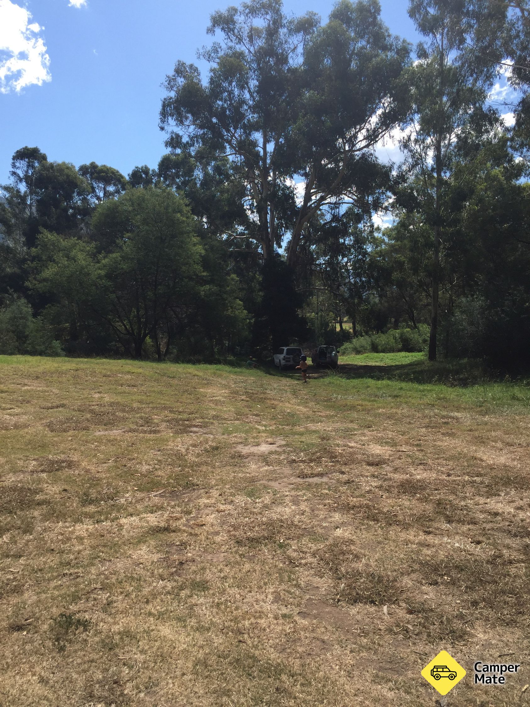 Black Snake Creek Camping Area
