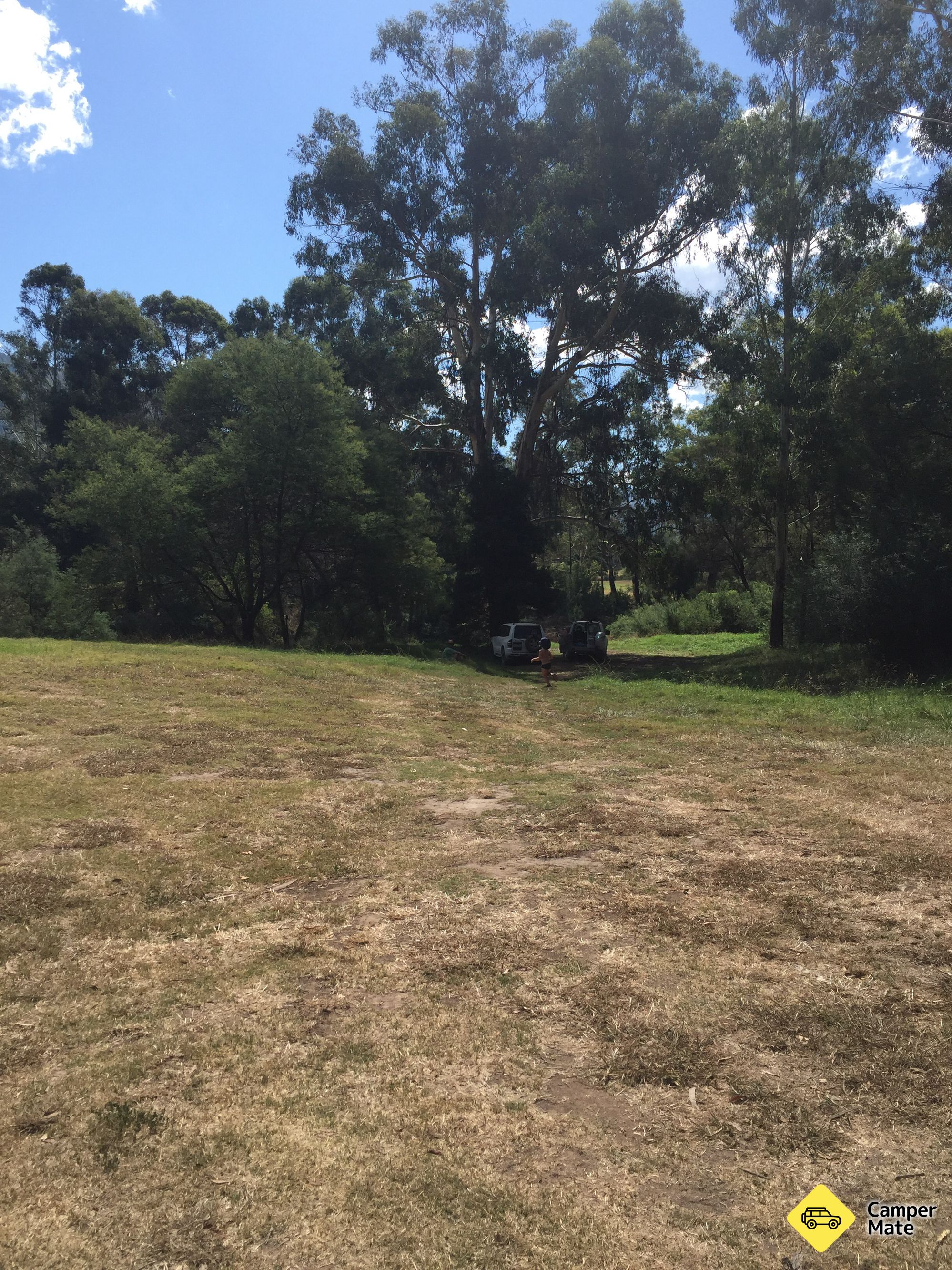 Black Snake Creek Camping Area