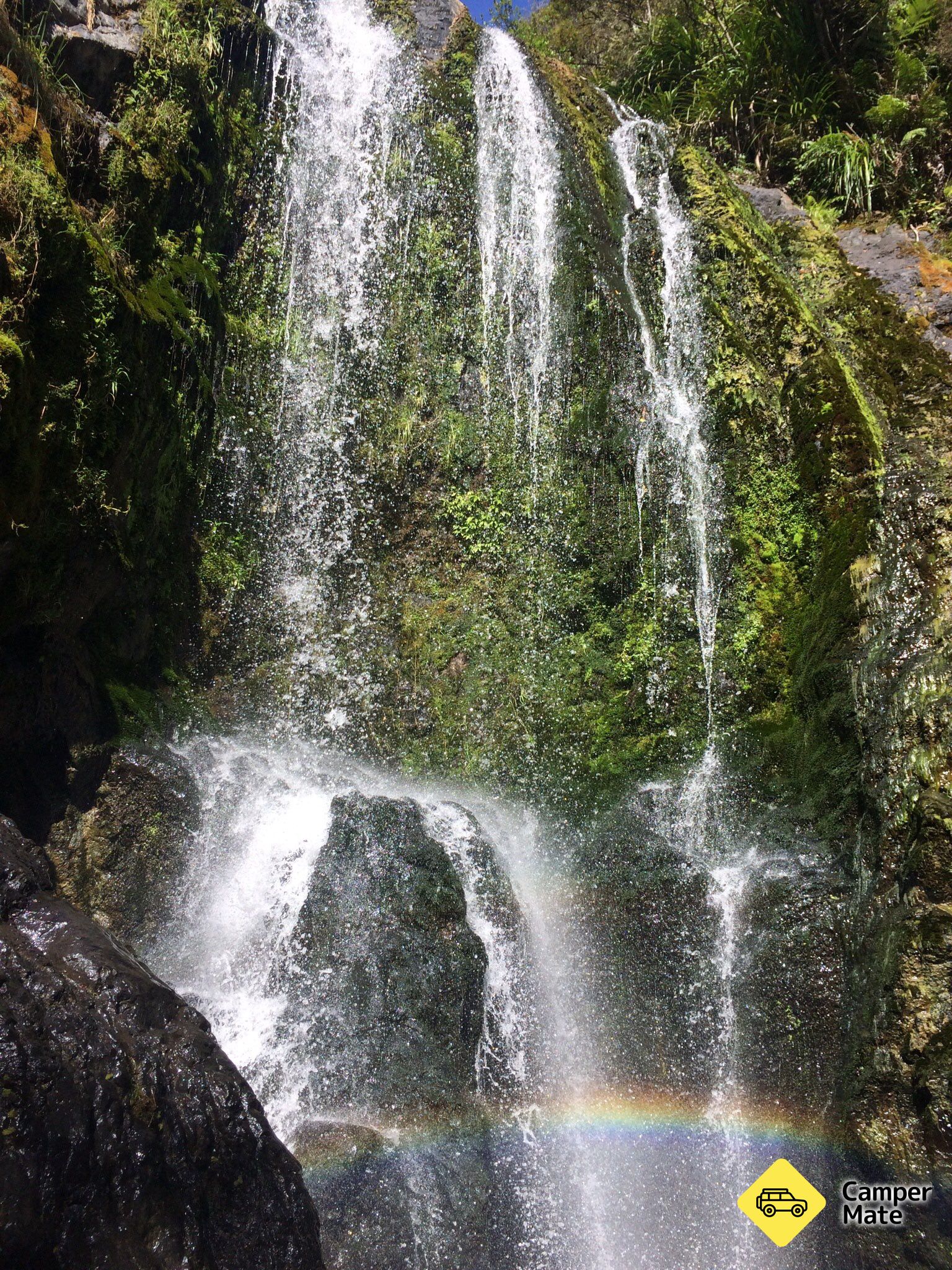 Waipu Gorge Reserve - Image 2
