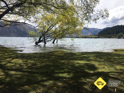 אגם Wanaka Outlet Track