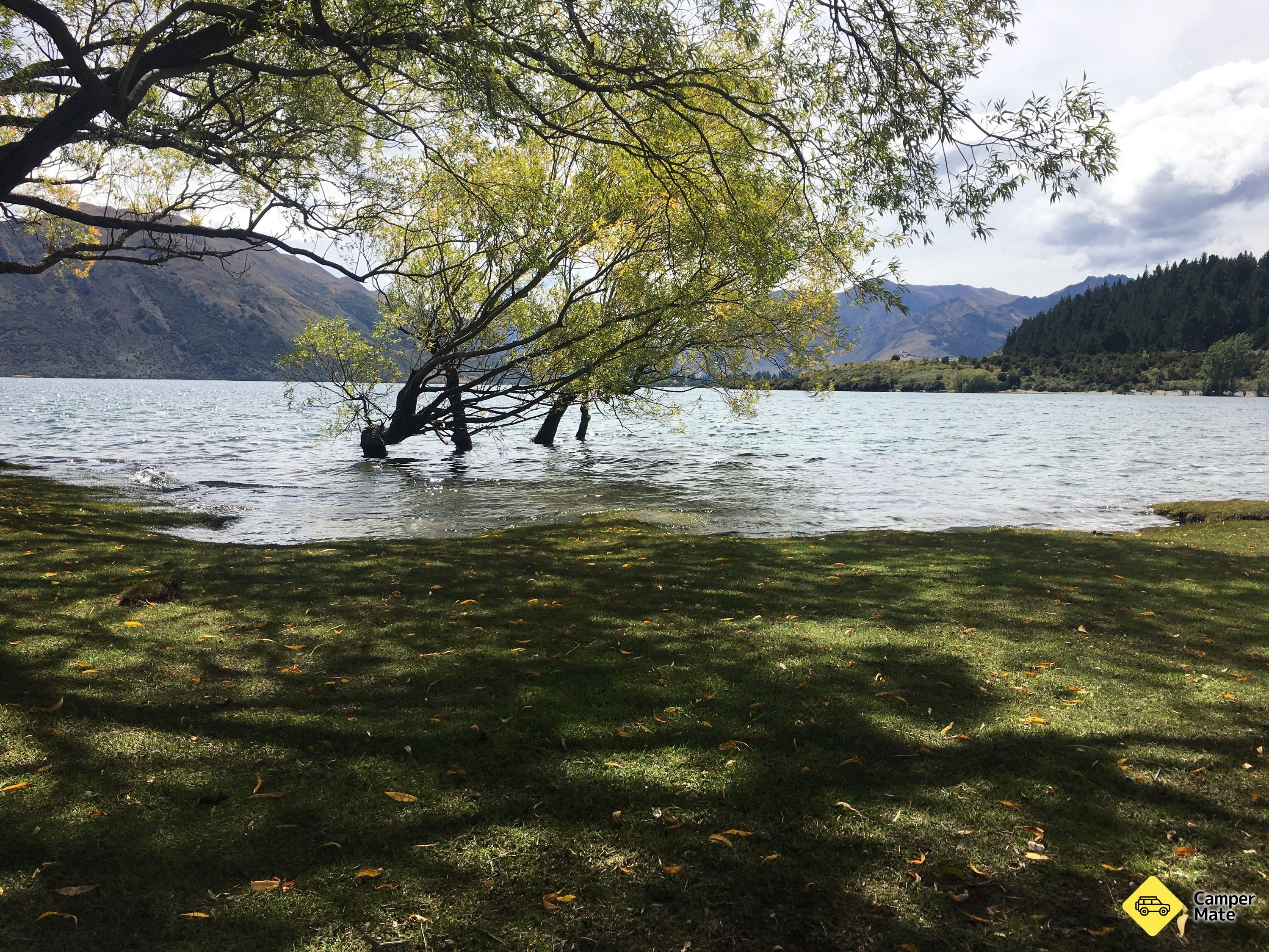 Læs mere om Lake Wanaka Outlet