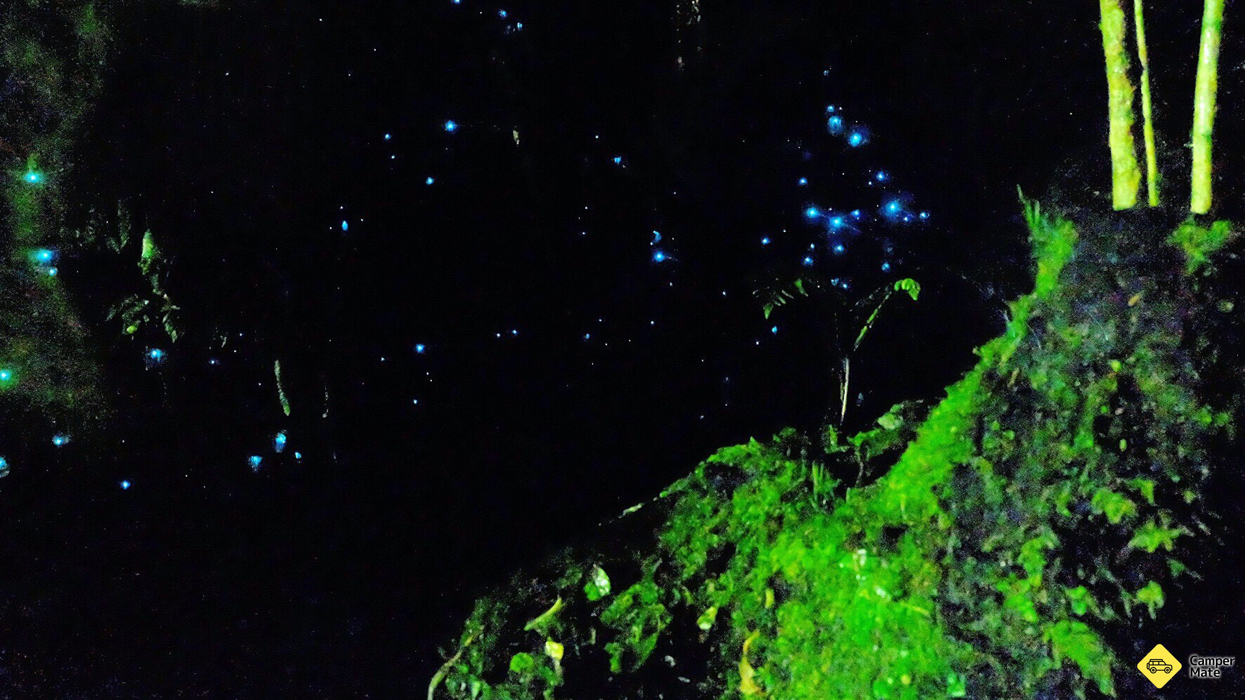 Restauranter i nærheten av Minnehaha Walk - Glow Worm Walk