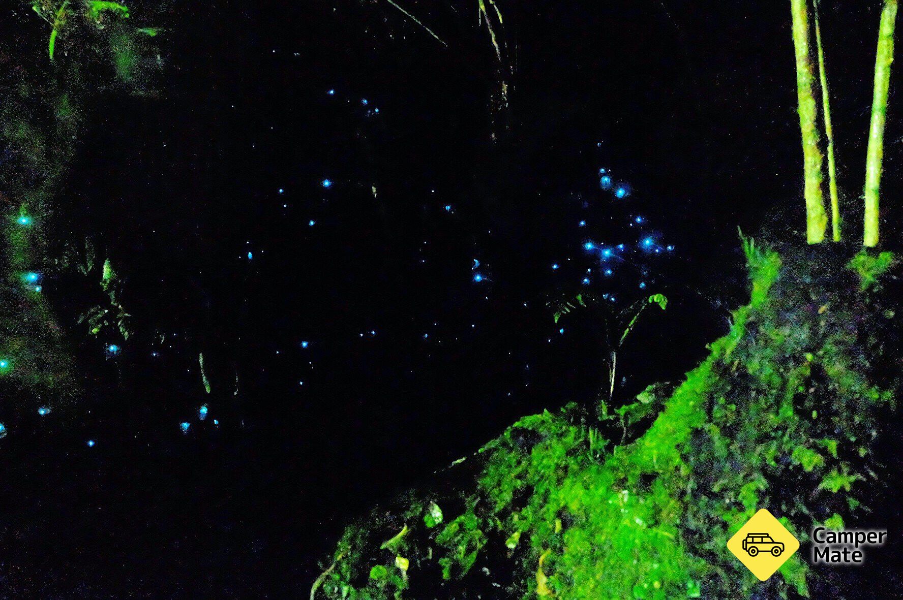 Minnehaha Walk - Glow Worm Walk