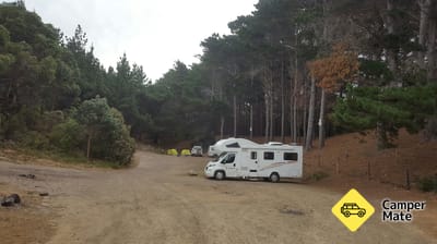 Le camp des pins