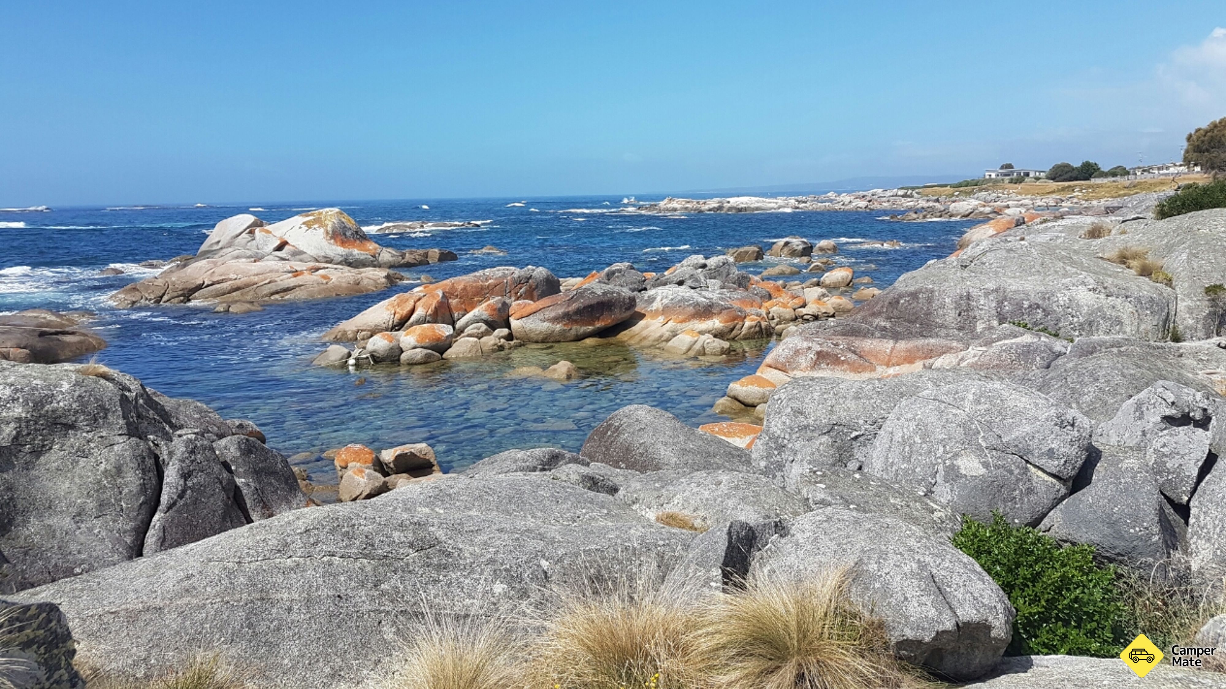 Dora Point Camping Area photo 5