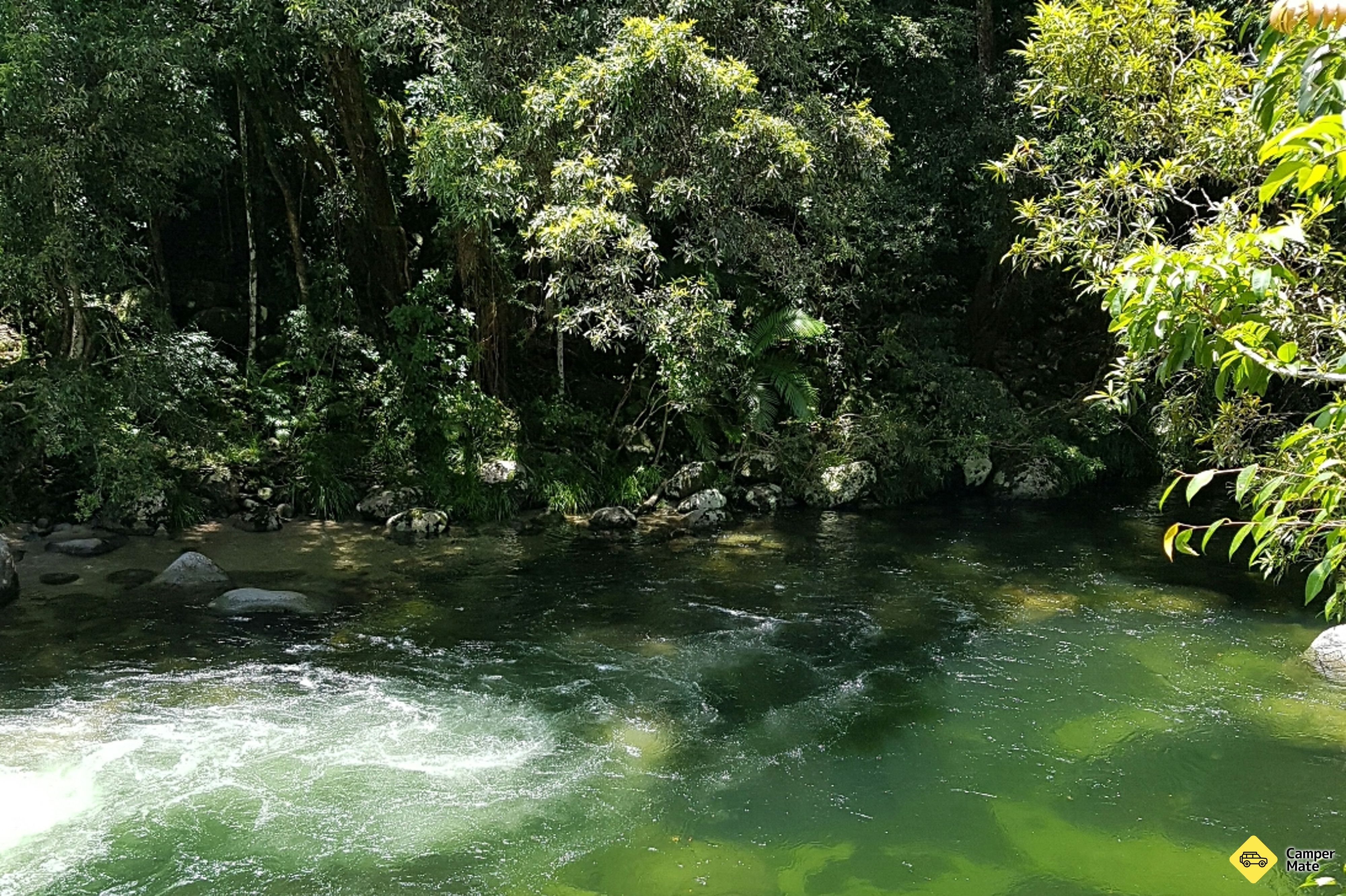 Mossman Gorge - Image 3