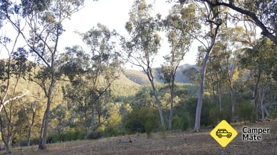 McKillop Bridge Campground
