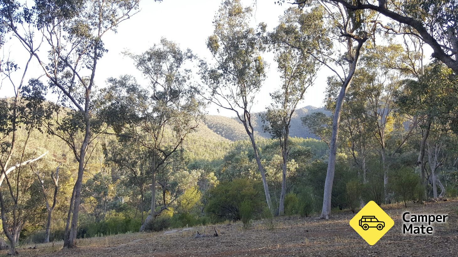 McKillop Bridge Campground